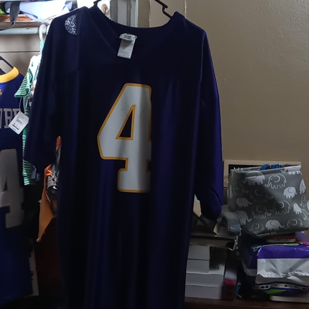 Minnesota Vikings Brett Favre Jersey